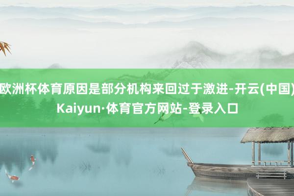 欧洲杯体育原因是部分机构来回过于激进-开云(中国)Kaiyun·体育官方网站-登录入口