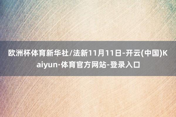 欧洲杯体育　　新华社/法新　　11月11日-开云(中国)Kaiyun·体育官方网站-登录入口