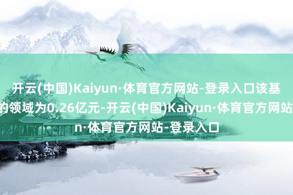 开云(中国)Kaiyun·体育官方网站-登录入口该基金旧年末的领域为0.26亿元-开云(中国)Kaiyun·体育官方网站-登录入口