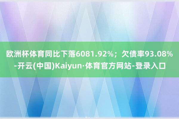 欧洲杯体育同比下落6081.92%;欠债率93.08%-开云(中国)Kaiyun·体育官方网站-登录入口