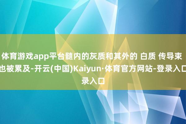 体育游戏app平台髓内的灰质和其外的 白质 传导束 也被累及-开云(中国)Kaiyun·体育官方网站-登录入口