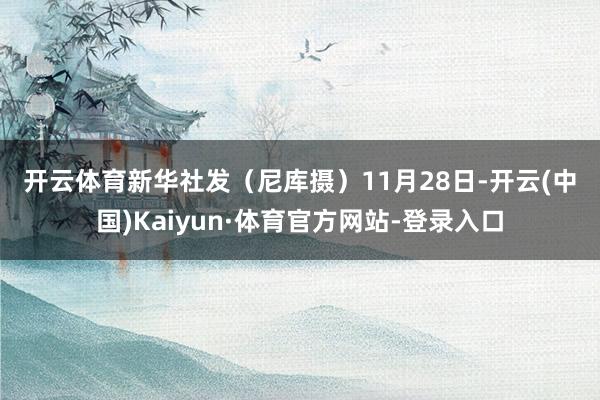 开云体育 新华社发(尼库摄) 11月28日-开云(中国)Kaiyun·体育官方网站-登录入口