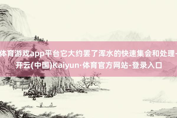 体育游戏app平台它大约罢了浑水的快速集会和处理-开云(中国)Kaiyun·体育官方网站-登录入口