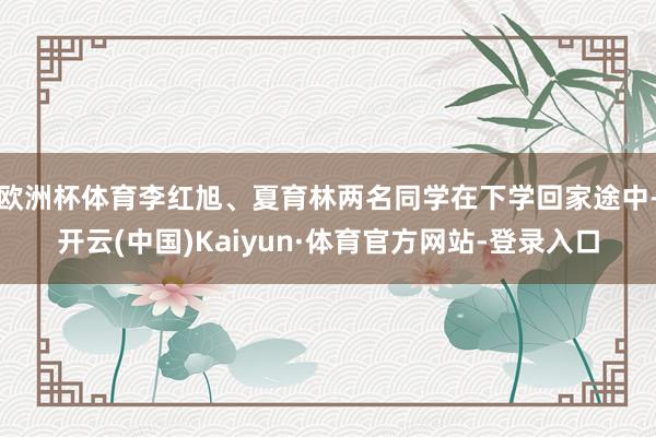 欧洲杯体育李红旭、夏育林两名同学在下学回家途中-开云(中国)Kaiyun·体育官方网站-登录入口