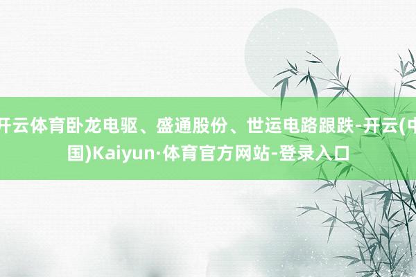 开云体育卧龙电驱、盛通股份、世运电路跟跌-开云(中国)Kaiyun·体育官方网站-登录入口
