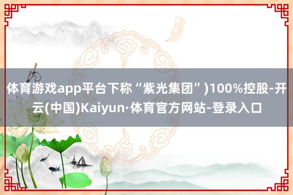 体育游戏app平台下称“紫光集团”)100%控股-开云(中国)Kaiyun·体育官方网站-登录入口